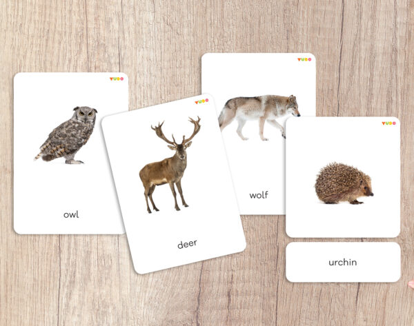 Forest animals cards