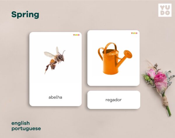 Spring cards