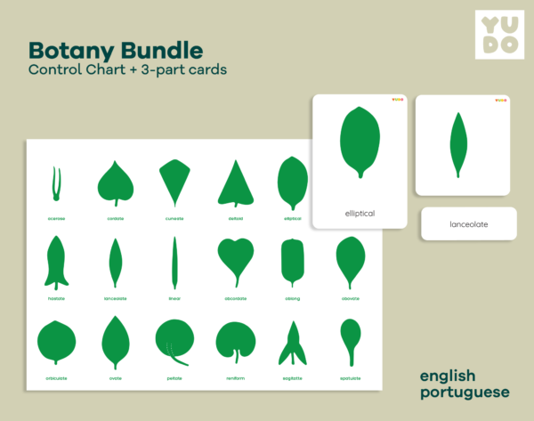 Botany cabinet control chart and cards