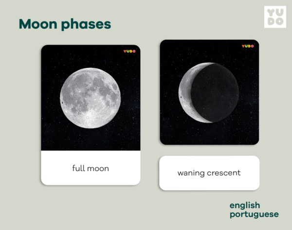 Moon phases cards