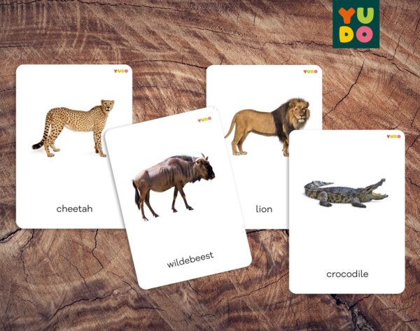 Africa animals cards