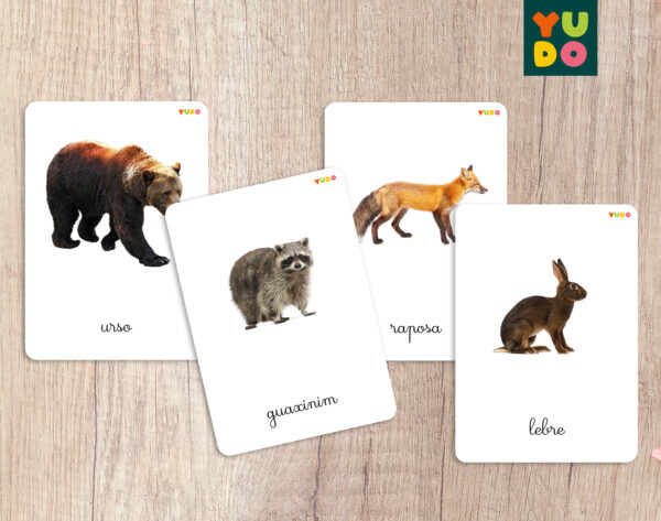 Forest animals cards