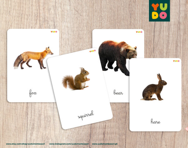 Forest animals cards