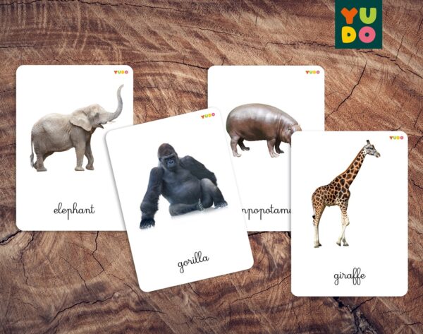 Africa animals cards