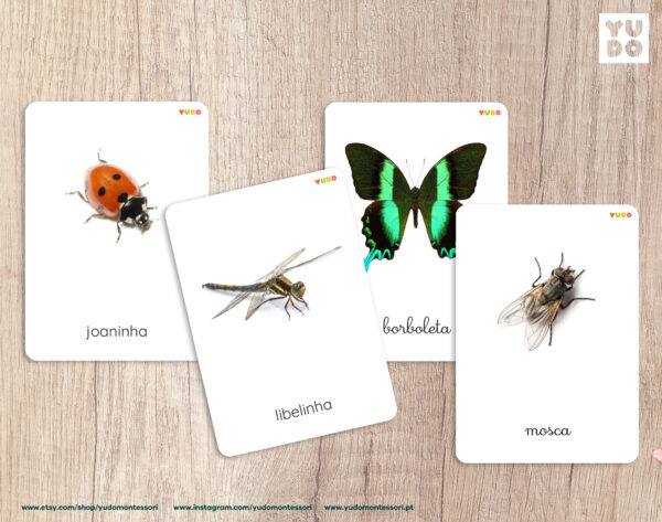 Insect cards