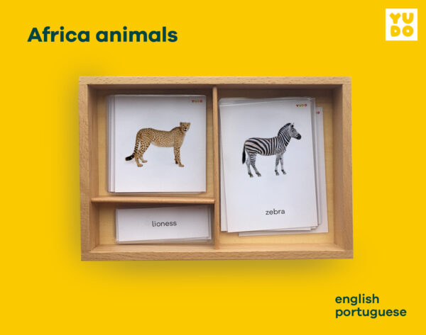 Africa animals cards