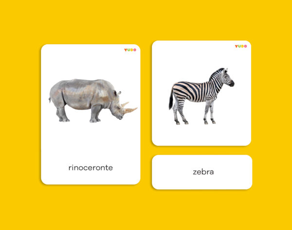 Africa animal cards