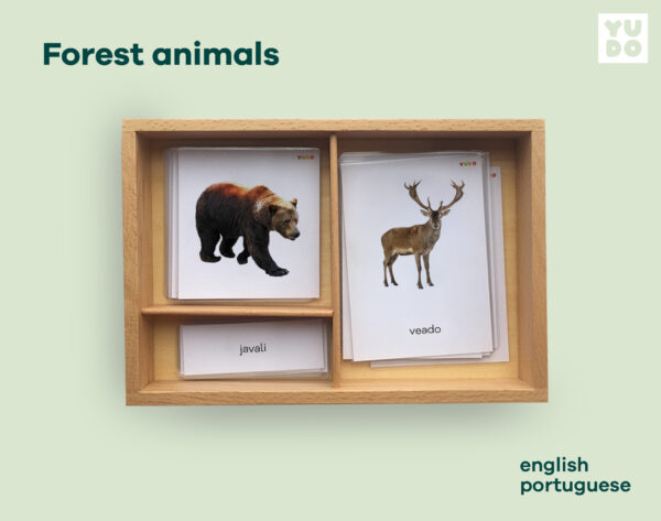 Forest animals cards