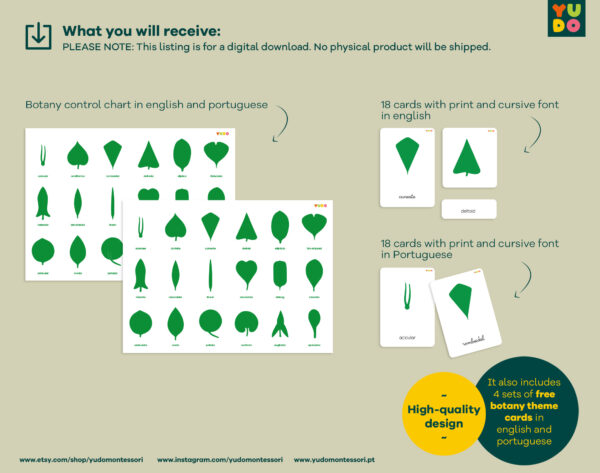 Botany cabinet control chart and cards