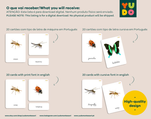 Insect cards