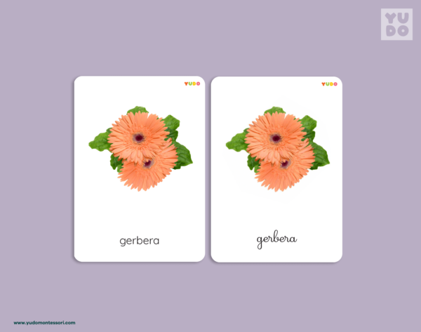 yudo-montessori-flower-cards