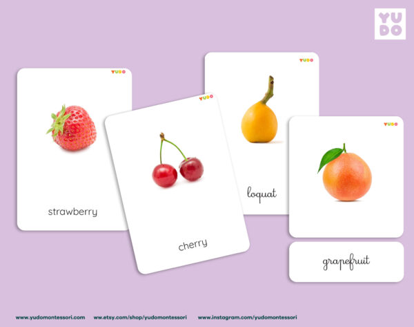 montessori-fruits-cards