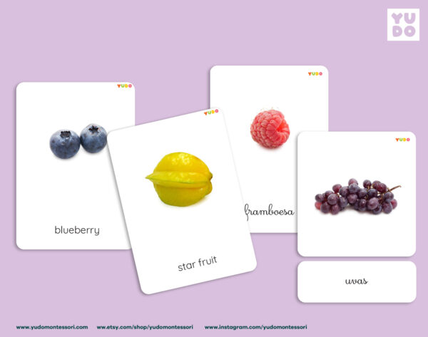 montessori-fruits-cards