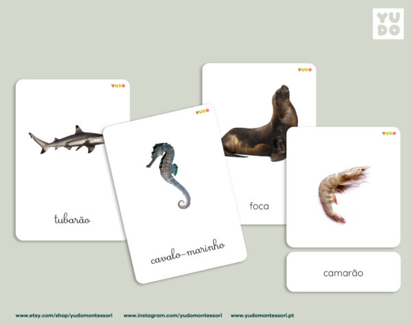 montessori-ocean-animals-cards