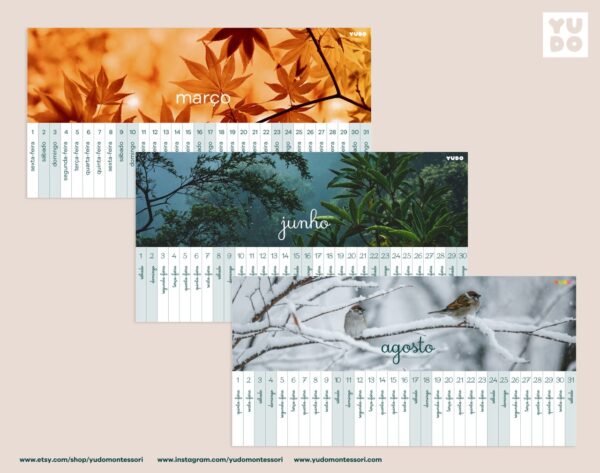 montessori-linear-calendar-in-portuguese