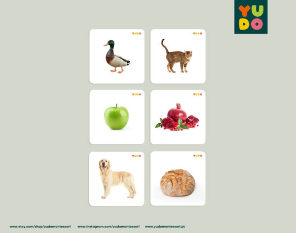 montessori-rhyming-cards