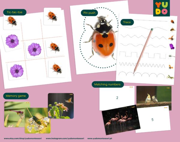 ladybug-and-spring activities-bundle