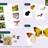 spring-activities-bundle