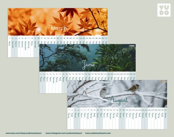 montessori-linear-calendar-in-english