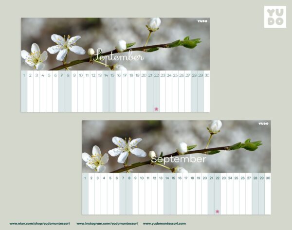 montessori-linear-calendar-in-english