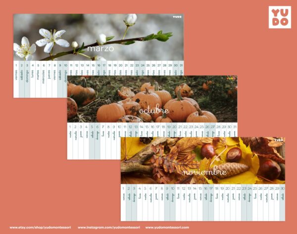 montessori-linear-calendar-in-spanish