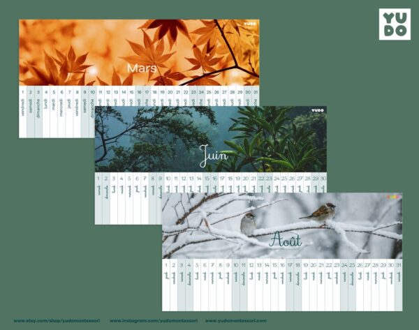 montessori-linear-calendar-in-french