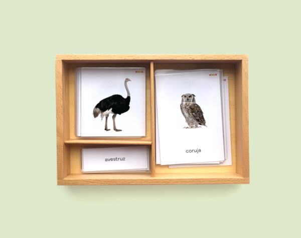 birds-montessori-cards