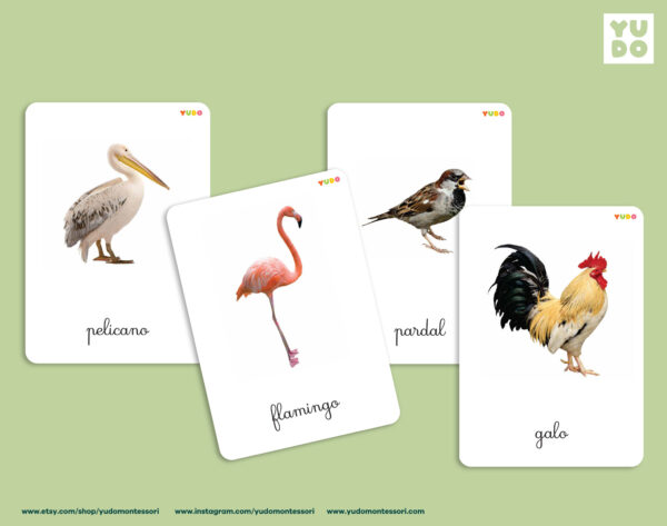 birds-montessori-cards