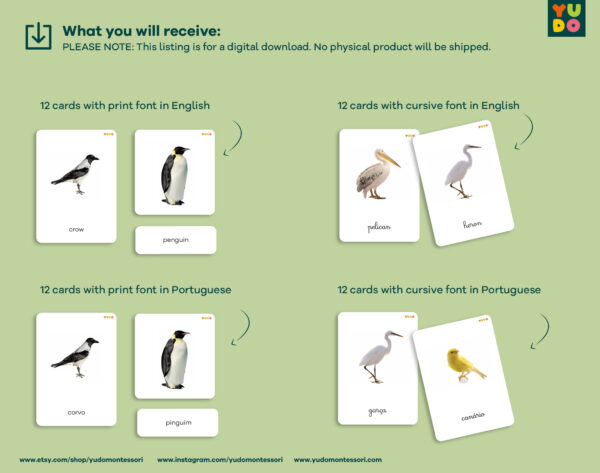 birds-montessori-cards