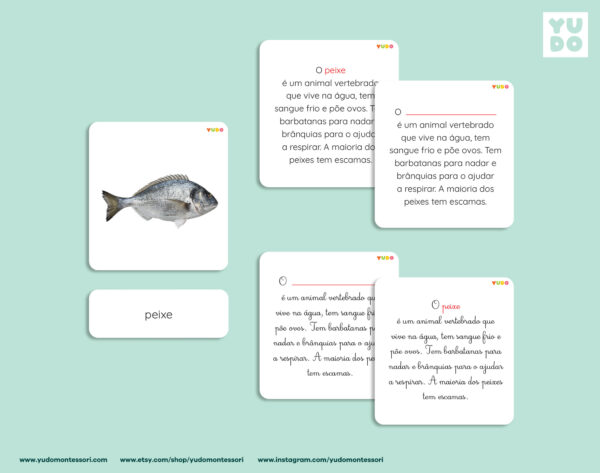 parts-of-the-fish-montessori-activity-in-portuguse