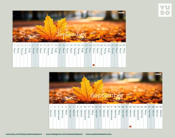 montessori-linear-calendar-in-english