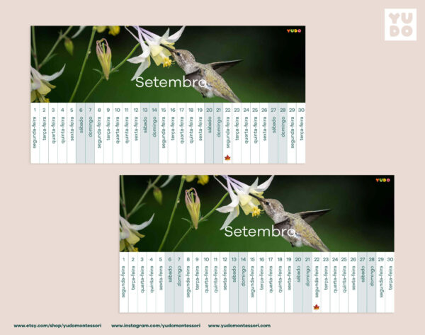 montessori-linear-calendar-in-portuguese