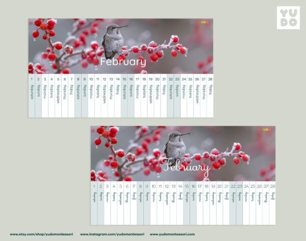 montessori-linear-calendar-2025