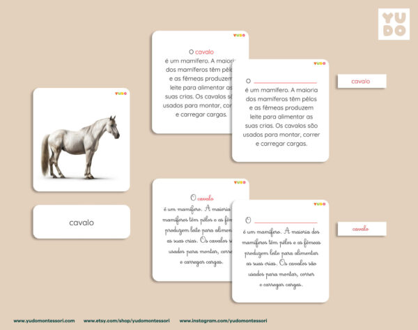 parts-of-the-horse-montessori-activity