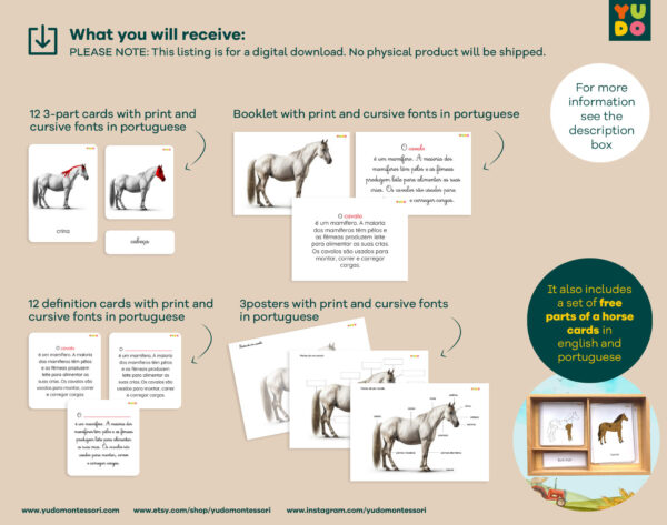 parts-of-the-horse-montessori-activity