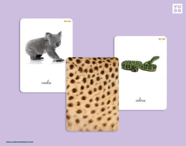 montessori-animal-pattern-matching-cards