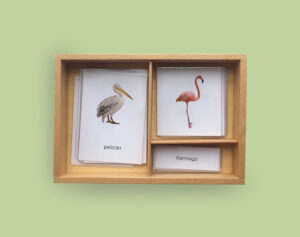 montessori-birds-cards