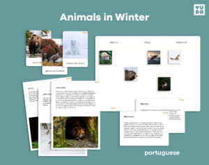 animals-in-winter-activity