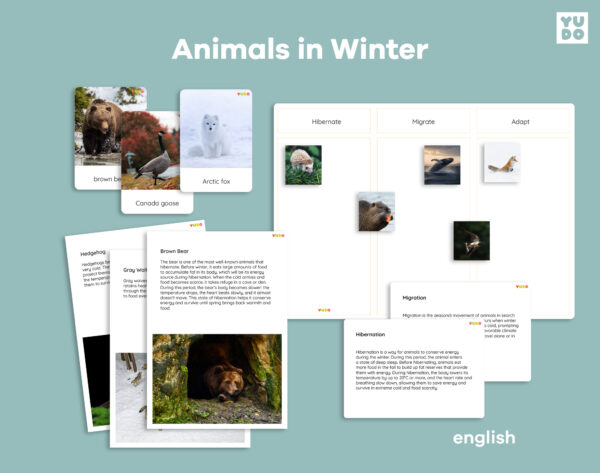 animals-in-winter-activity