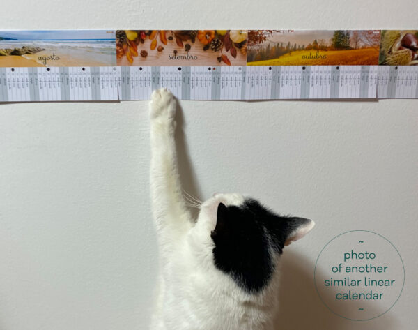 montessori-linear-calendar-2026