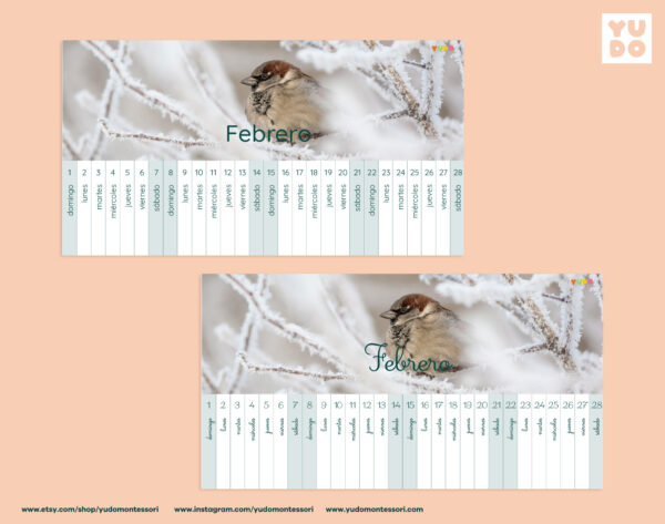 montessori-linear-calendar-2026