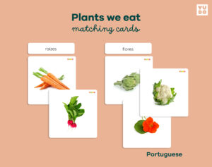 plant-we-eat-activity