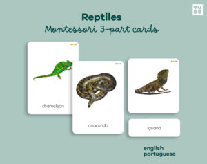 reptiles-montessori-cards