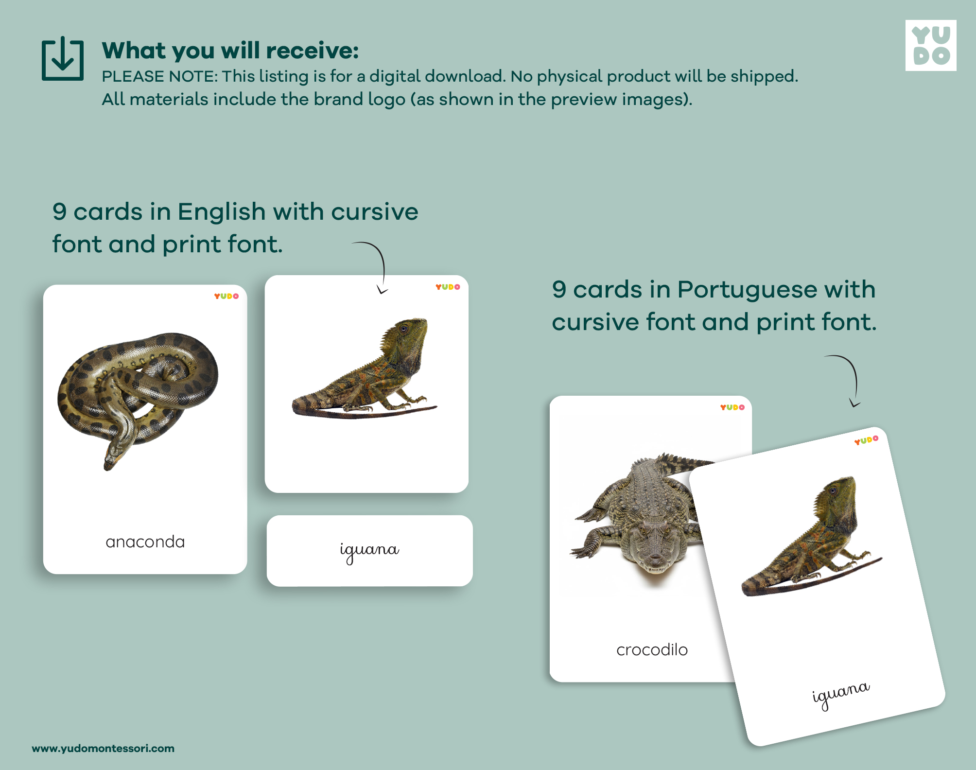 reptiles-montessori-cards