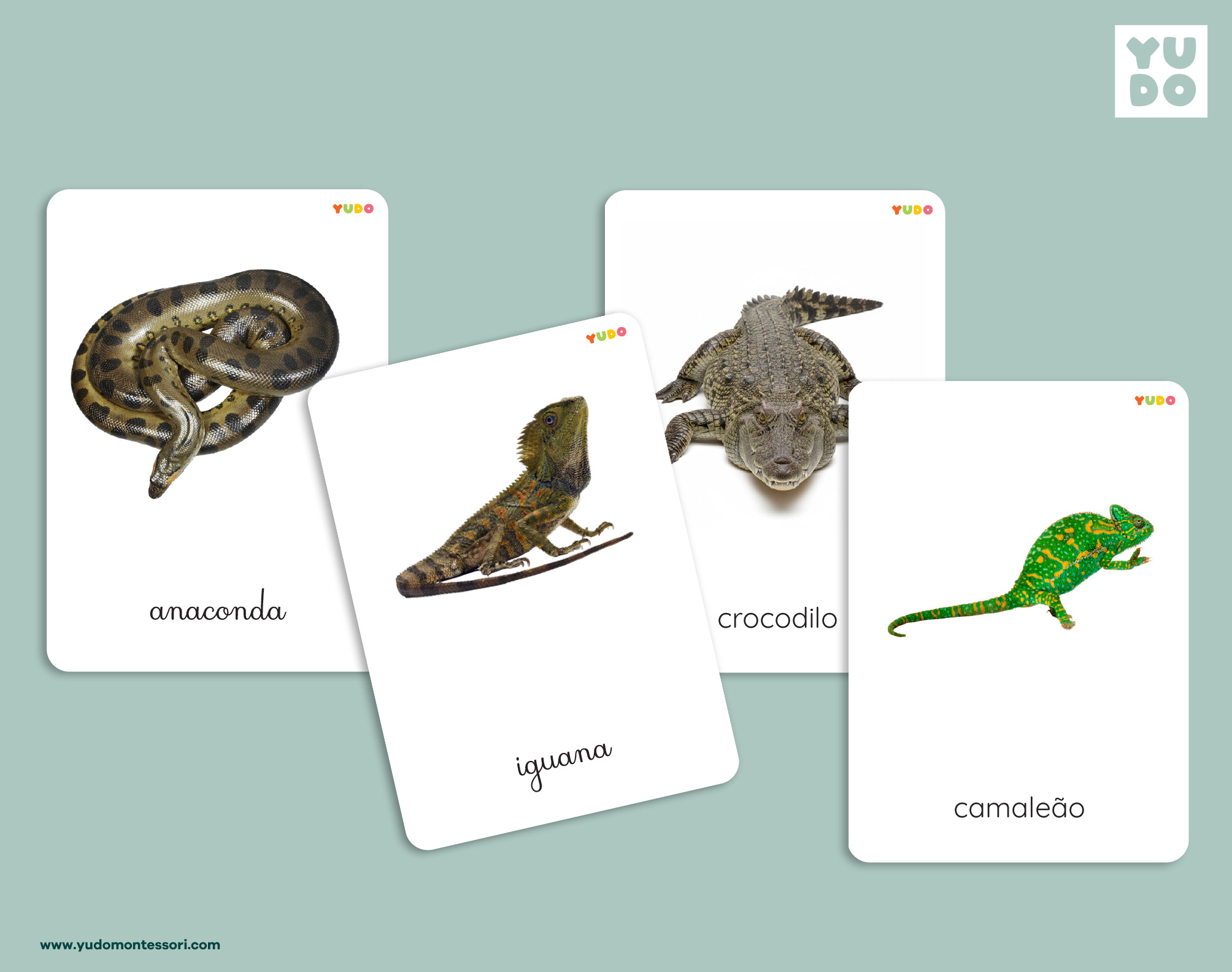 reptiles-montessori-cards