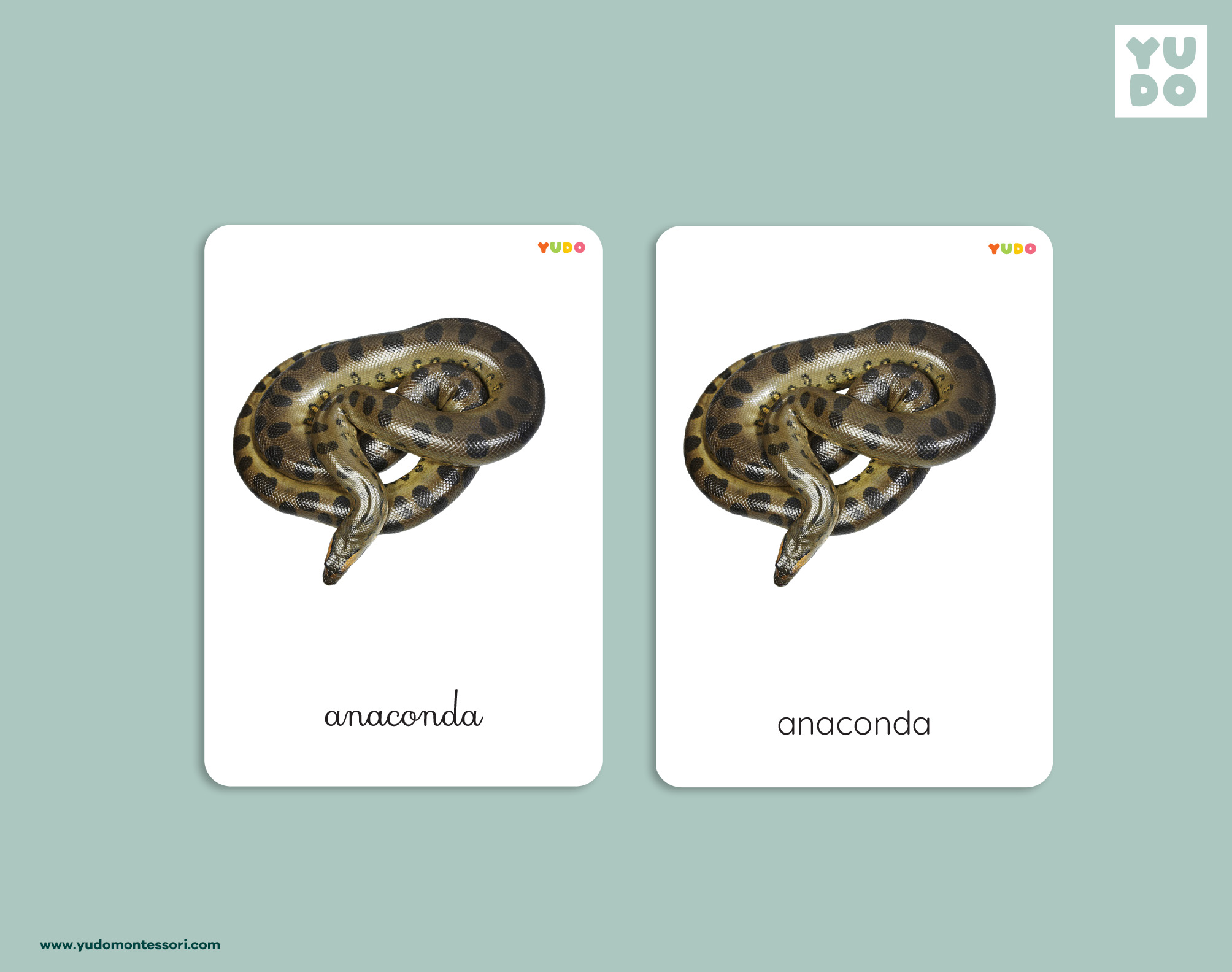 reptiles-montessori-cards