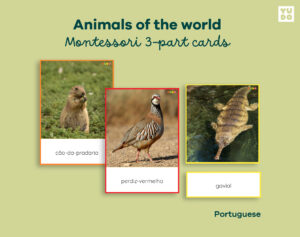 Animals of the World in Portuguese (Montessori color-coded)