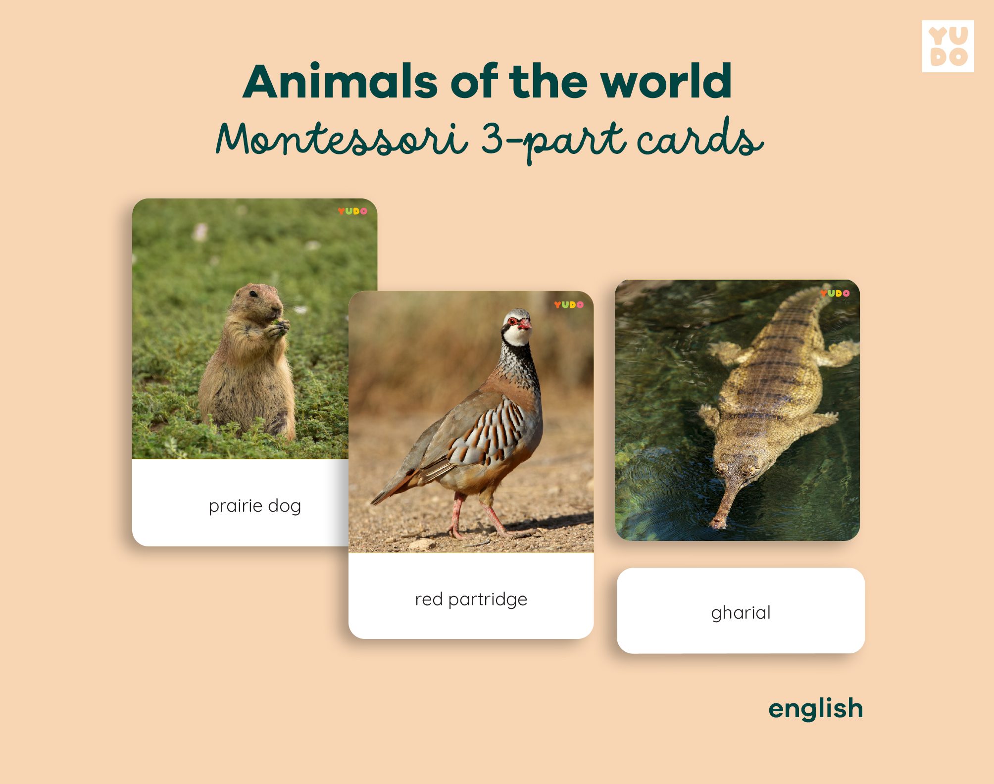 world-animals-montessori-cards