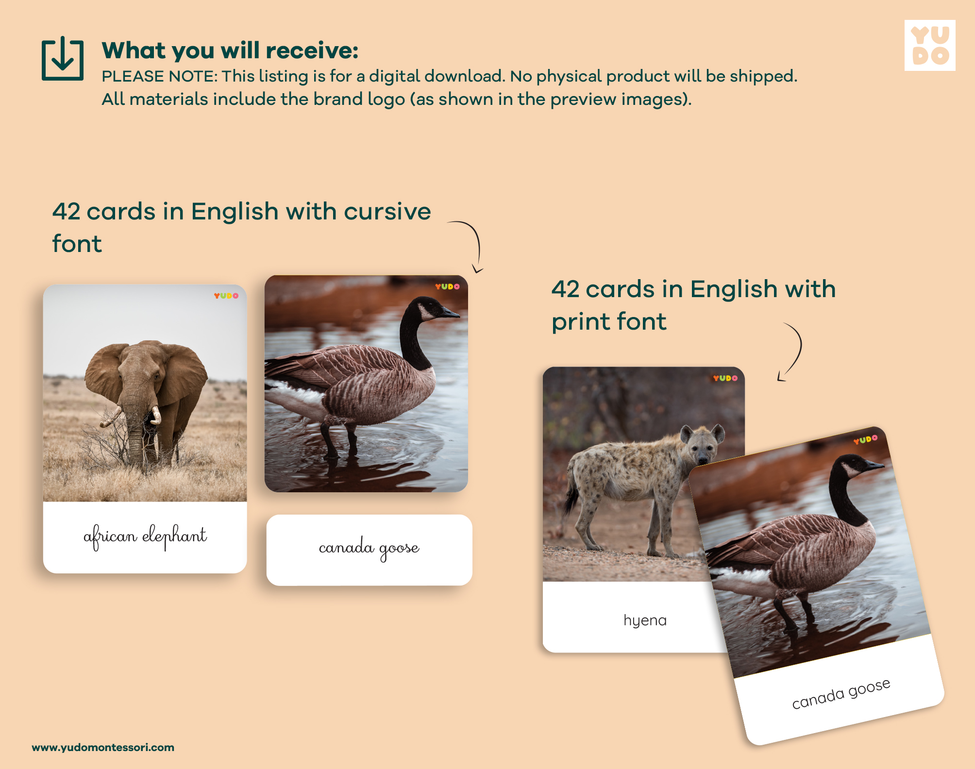 world-animals-montessori-cards