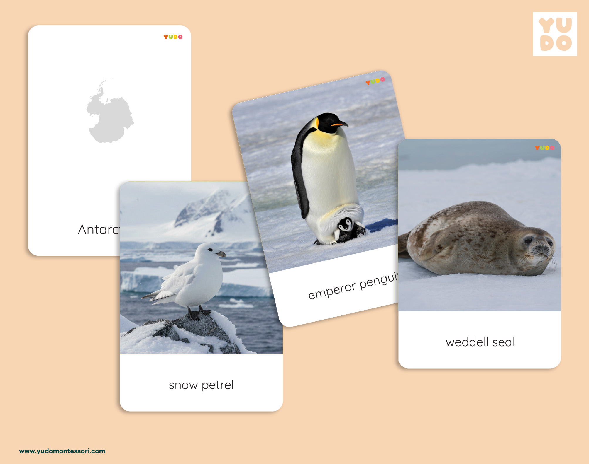 world-animals-montessori-cards